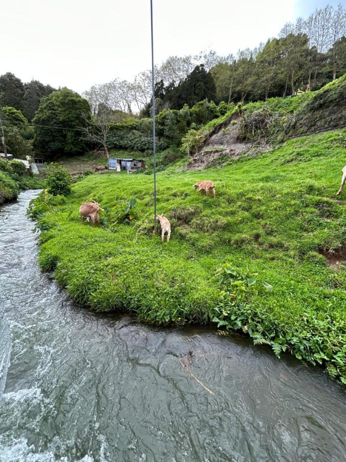 فيلا B&C Furnas House المظهر الخارجي الصورة